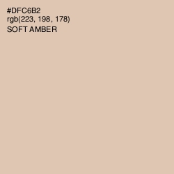 #DFC6B2 - Soft Amber Color Image